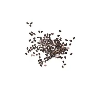 Semi di chia