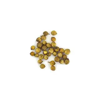 Semi di coriandolo