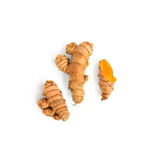 Curcuma
