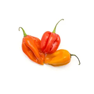 Habanero