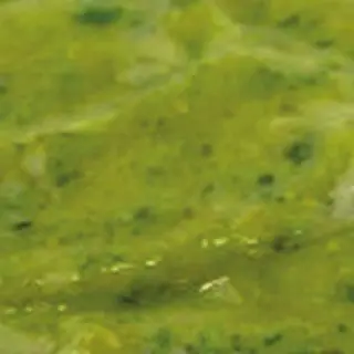 Marinata rustica verde
