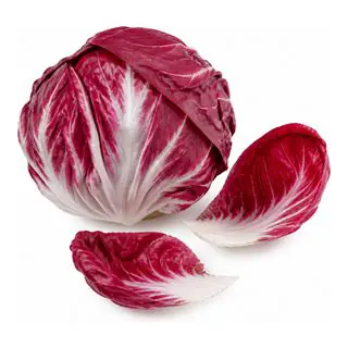 Radicchio foglia