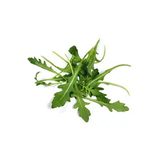 Rucola
