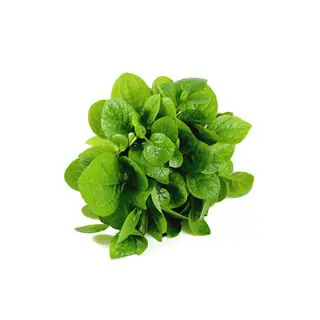 Spinaci
