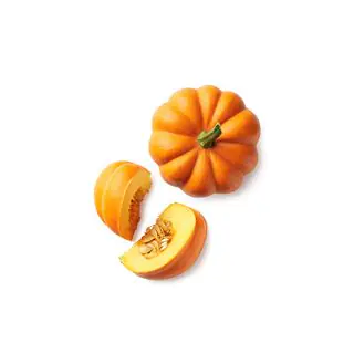 Zucca